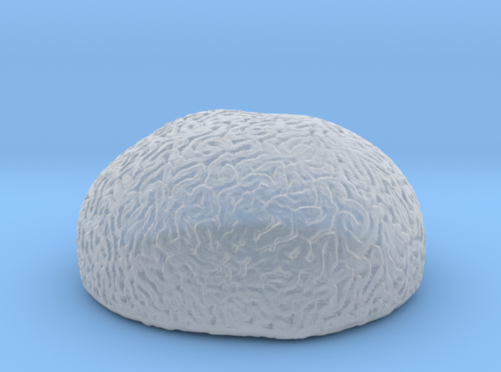 Brain Coral 3d printed