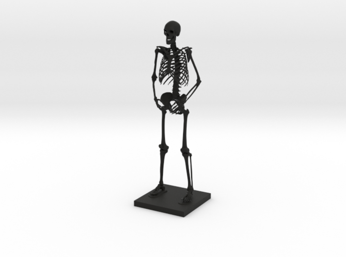 10&quot; Desktop Skeleton 3d printed