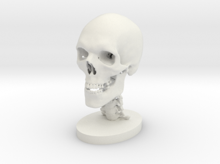 1/4 Scale Human Skull 3d printed