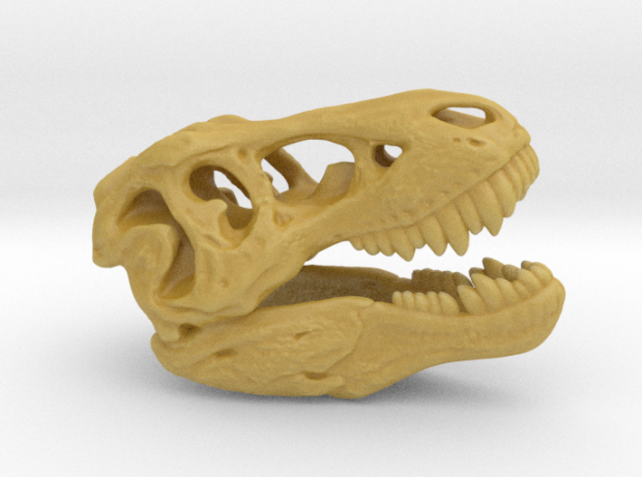 Tyrannosaurus rex skull - 40mm 3d printed