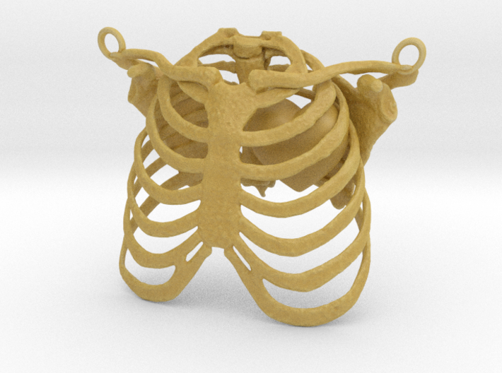 Ribcage With Stylized Heart Pendant 3d printed