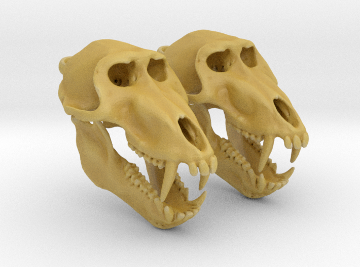 Baboon skull with open jaw - Earring Pair (2) 3d printed