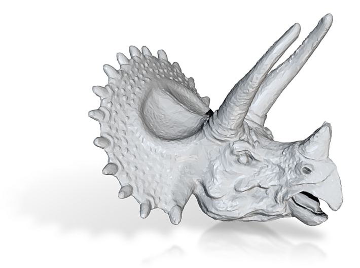 Triceratops Pendant 50mm 3d printed