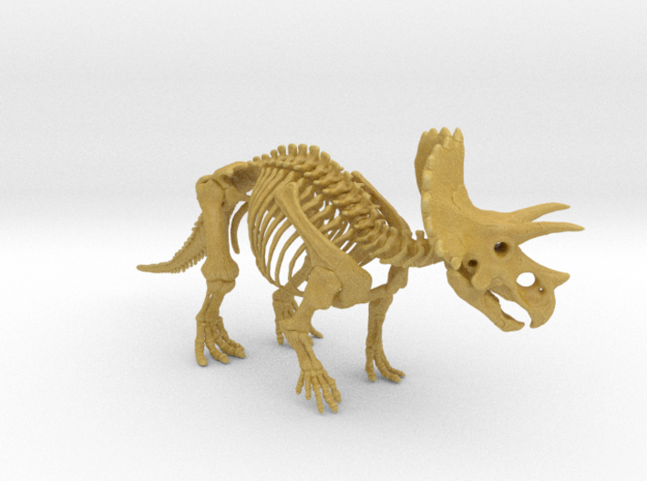 Triceratops Skeleton 3d printed