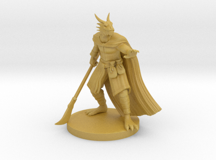 Dragonborn Sorcerer - Psion with Glaive 3d printed 