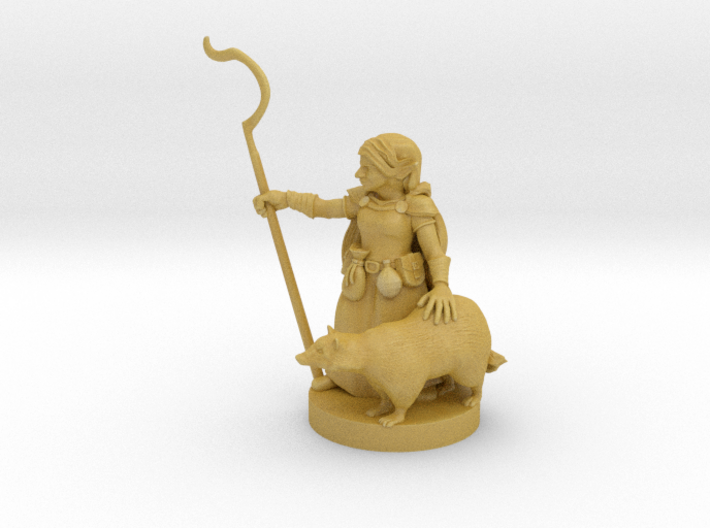 Gnome Female Druid 3d printed 