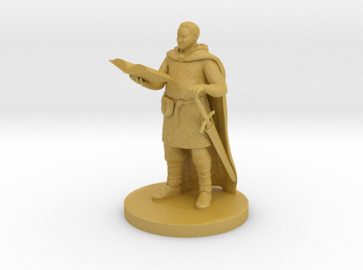 Human Male Scholar Fighter 3d printed 