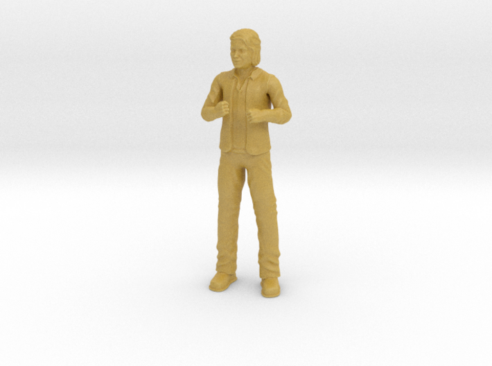 The Partridge Family - Danny - 1.35 3d printed