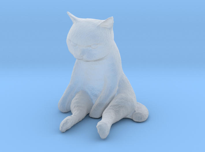 1/48 Grumpy Cat 3d printed