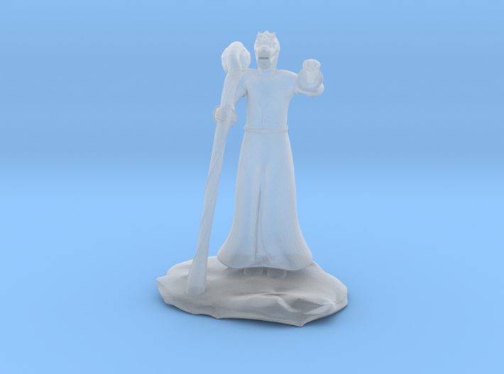Dragonborn Wizard in Robes with Staff 3d printed