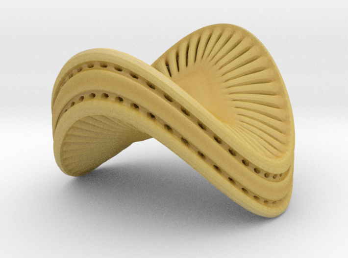 Campylodiscus Hibernicus 2 Small 3d printed