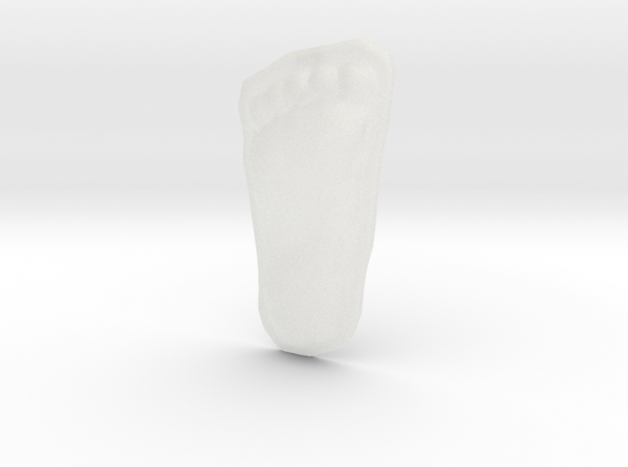 Bigfoot Footprint Cast 1/3 Scale 3d printed