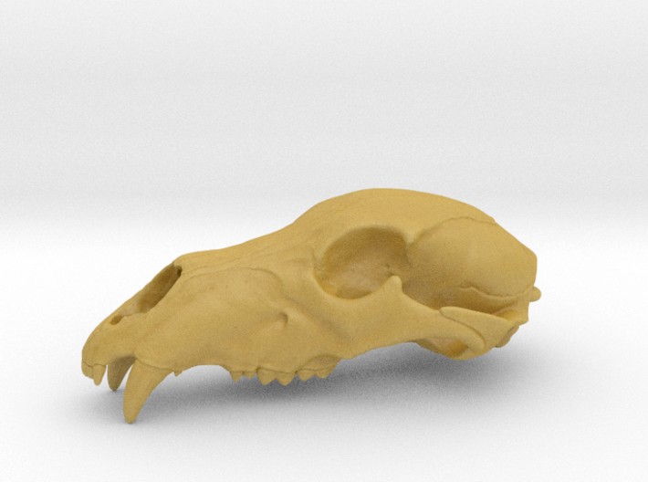 Bear Skull. WT-07. 6cm. 3d printed