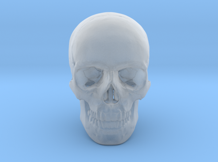 25mm 1in Human Skull Crane Schädel че́реп 3d printed