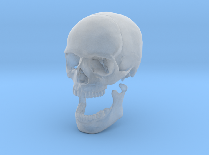 42mm 1.65in Human Skull Crane Schädel че́реп 3d printed