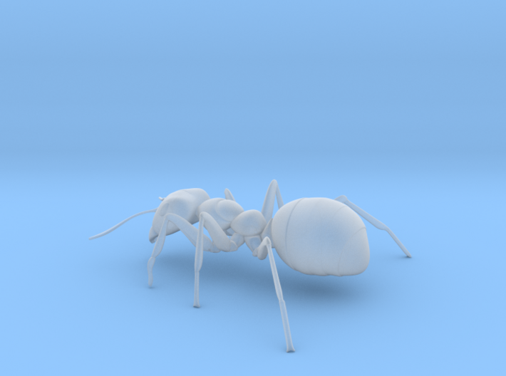 ANT-7inch 3d printed