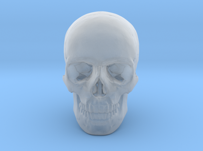33mm 1.3in Human Skull (23mm/.9in wide) 3d printed
