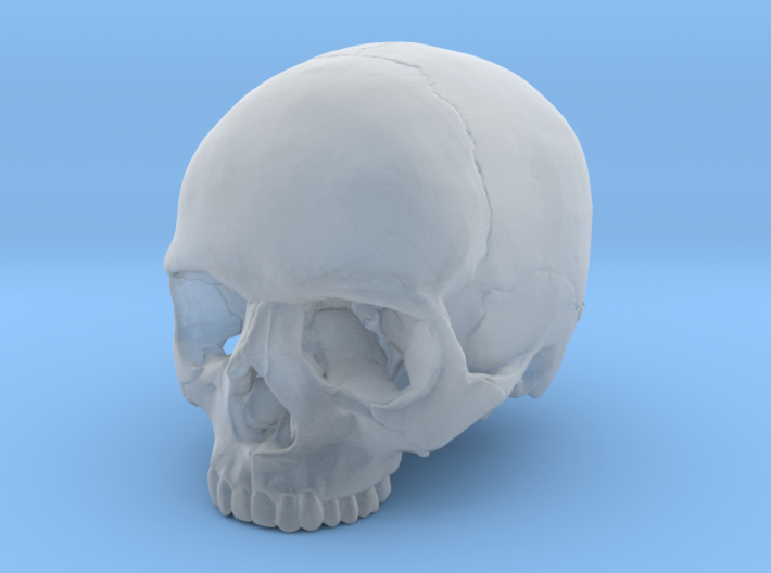 SKULL 23mm / 0.9in 3d printed