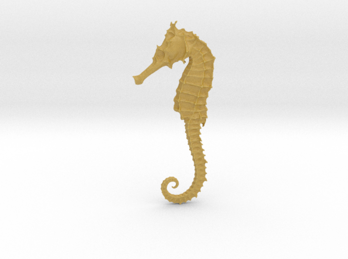 Sea horse, Seepferd, sea-horse 3d printed