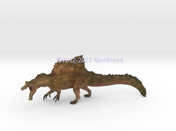 Spinosaurus 3d printed Spinosaurus color concept ©2012-2022 RareBreed