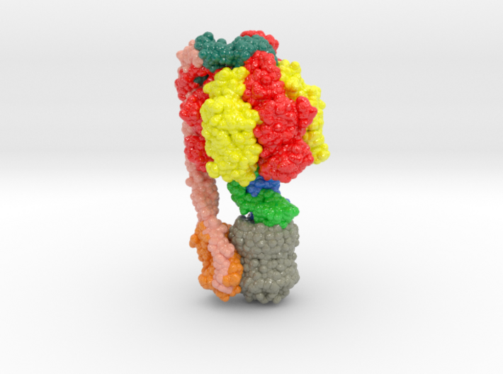 ATP Synthase 6OQV 3d printed