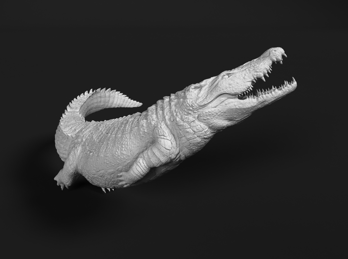 Nile Crocodile 1:12 Attacking in Water 2 3d printed