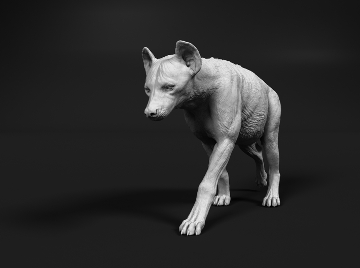 Spotted Hyena 1:87 Walking Female 1 3d printed