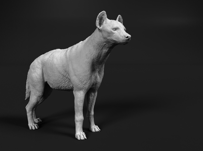 Spotted Hyena 1:35 Standing Male 3d printed 