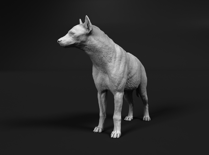 Spotted Hyena 1:22 Standing Male 3d printed