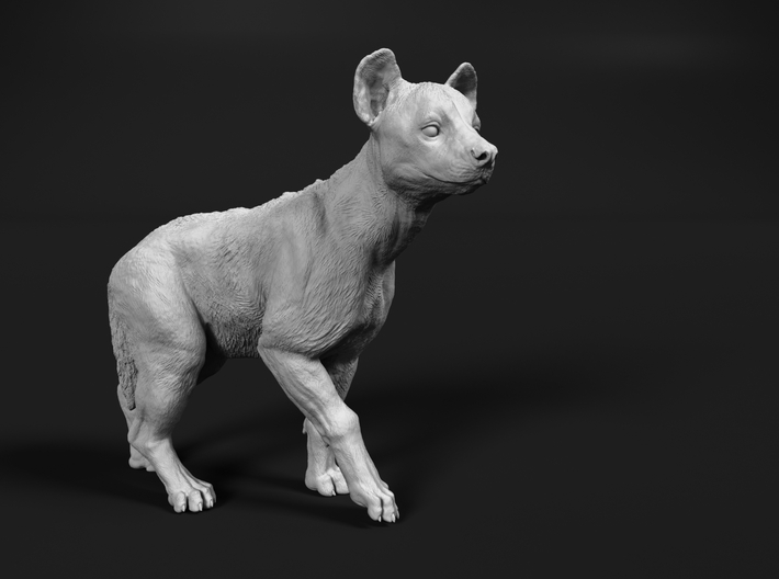 Spotted Hyena 1:6 Walking Cub 3d printed