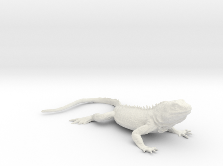 Printle Animal Lizard 03 - 1/24 3d printed