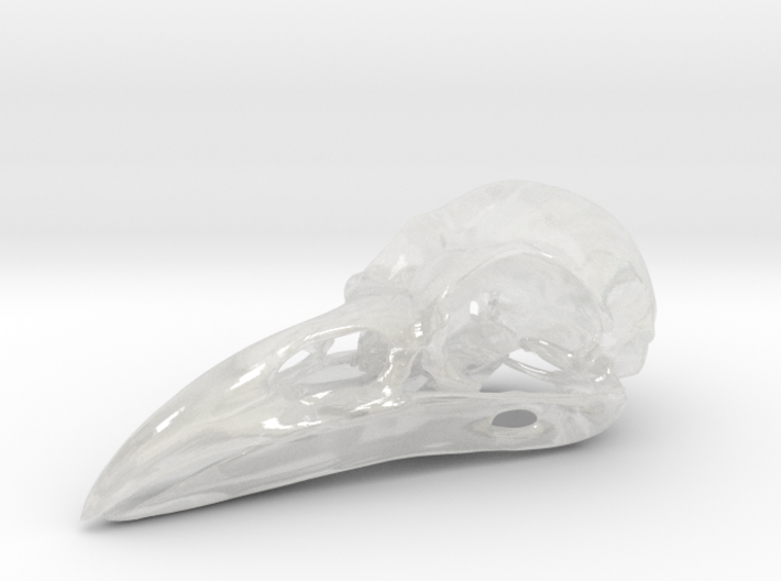 Raven skull 3d printed