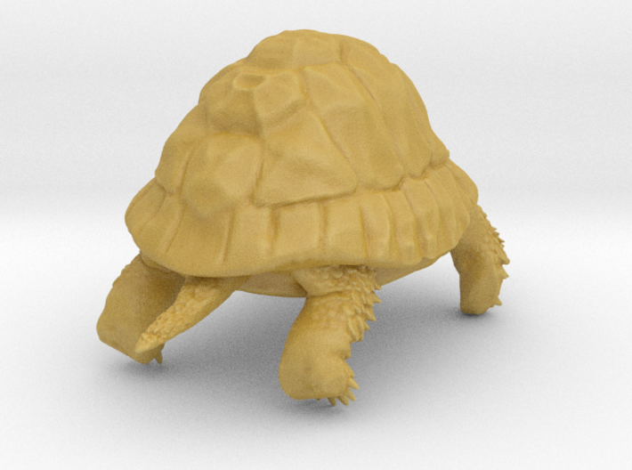 Tortoise 3d printed