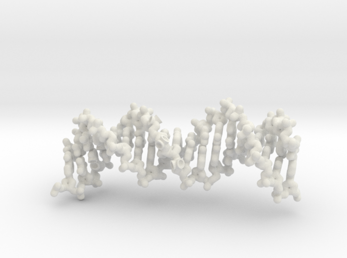 Long DNA - magnets for dimer 3d printed