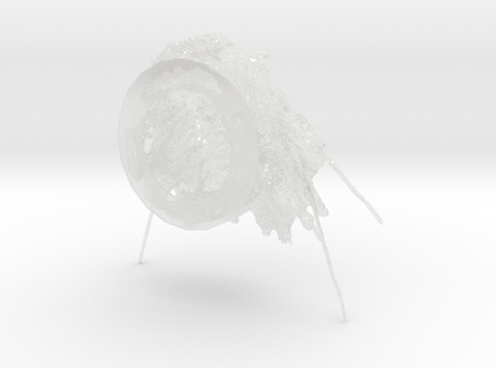 Trilobite - Kettneraspis prescheri 3d printed