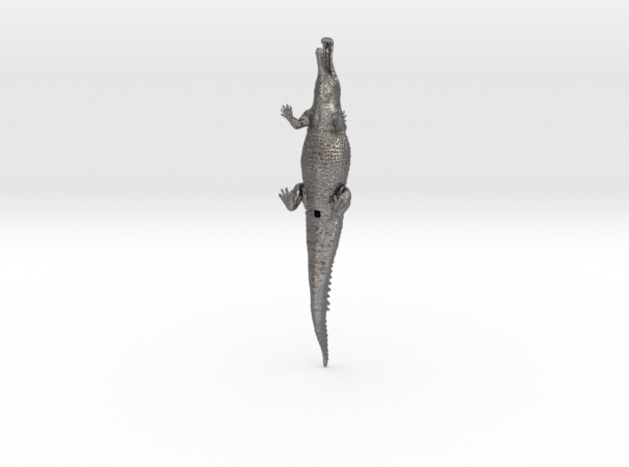 Sarchosuchus 1/100 3d printed