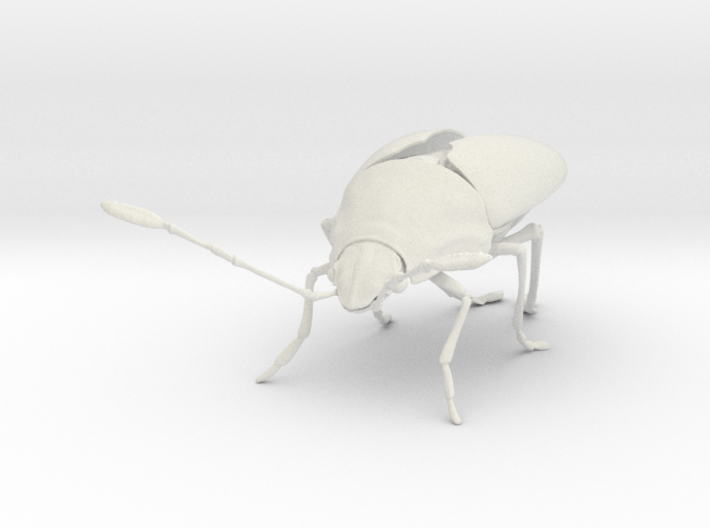 beetle v4 3d printed 