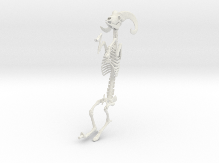 Bighorn Sheep Skeleton 3d printed 