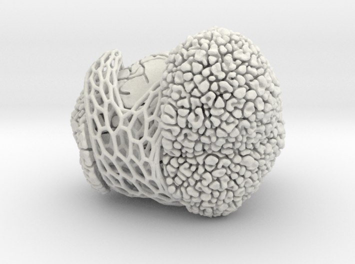 Quaddel - peripheral interaction 3d printed 