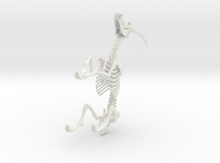 Yale Skeleton 3d printed 