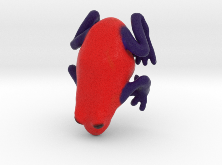 Strawberry Poison Dart Frog 3d printed 