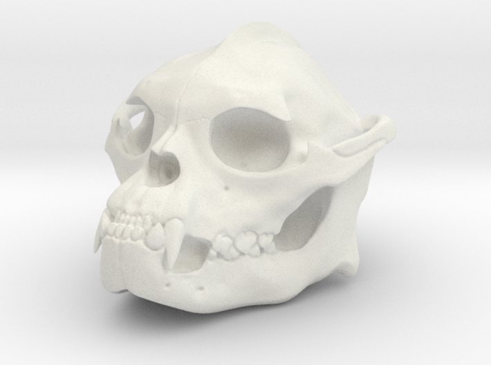 Skull 6 Hollow 2 3d printed 