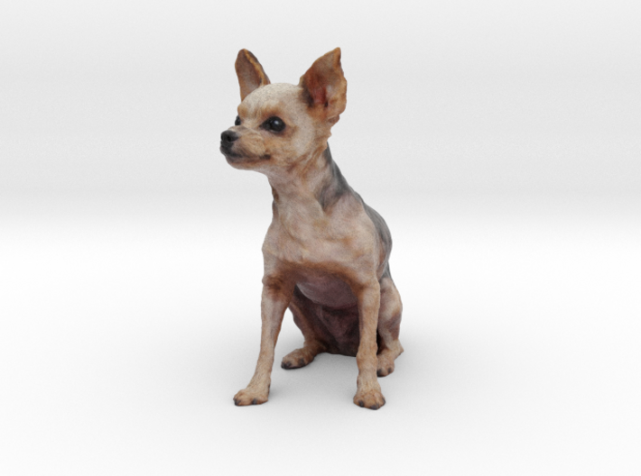 yorkshire terrier(short hair) 3d printed 