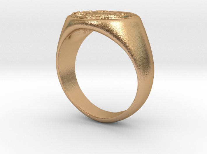 Size 11 Targaryen Ring 3d printed 
