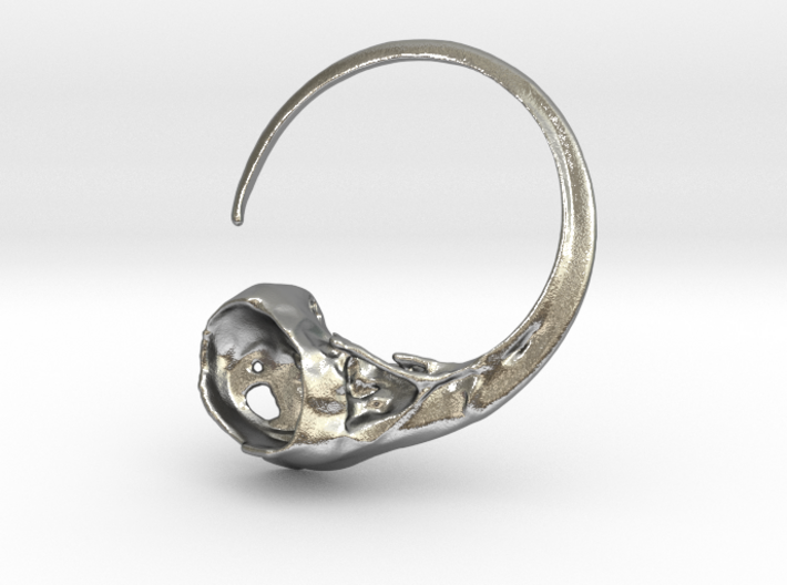 Hummingbird Skull Ring 3d printed 