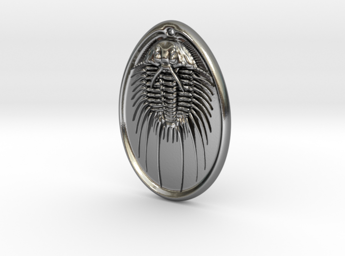 Aspidonia Trilobite Fossil pendant ~ 48mm tall 3d printed 