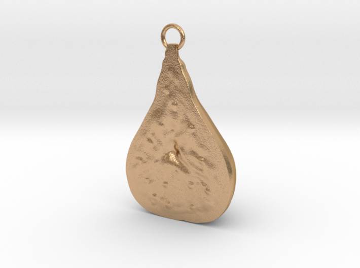 Fig Pendant, Brass 3d printed