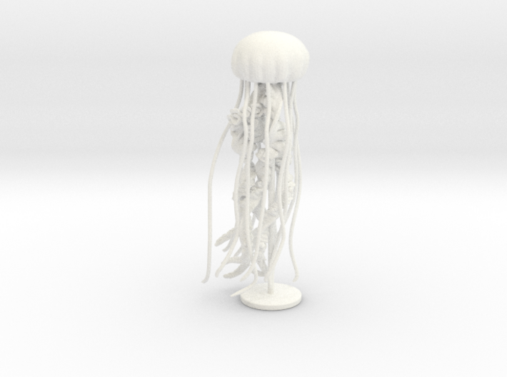 Sea Nettle Sculpture 3d printed