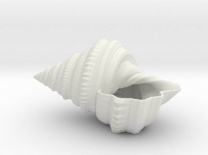 Shell Planter 3d printed