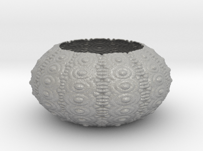 Sea Urchin Bowl 3d printed